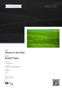 KORCE Rudolf Fukal Ceska republika Waves in the field C4
