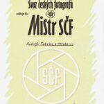 MSČF 2015
