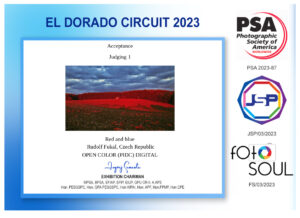 Red and blue Judging 1 acceptance