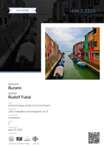 Sunflower Rudolf Fukal Czech Republic Burano C1
