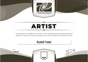artist honor certifikat 2025