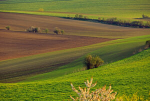 uIMG 4520